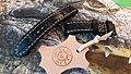 Нажмите на изображение для увеличения
Название: IMG-20201210-WA0011.jpg
Просмотров: 134
Размер:	79.8 Кб
ID:	3687637