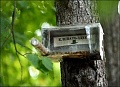 Нажмите на изображение для увеличения
Название: image.jpg
Просмотров: 686
Размер:	78.9 Кб
ID:	368786
