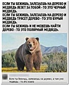 Нажмите на изображение для увеличения
Название: 426EB1C6-D179-49B8-9B8C-FAAB1E424B90.jpeg
Просмотров: 494
Размер:	133.6 Кб
ID:	3688811