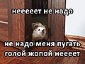 Нажмите на изображение для увеличения
Название: 1.jpg
Просмотров: 714
Размер:	90.2 Кб
ID:	3698748