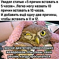 Нажмите на изображение для увеличения
Название: WhatsApp Image 2024-04-19 at 09.51.07.jpeg
Просмотров: 384
Размер:	211.4 Кб
ID:	3699046