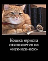 Нажмите на изображение для увеличения
Название: BC2C485B-E25E-43F0-8EC7-AAEBD268633B.jpeg
Просмотров: 517
Размер:	80.8 Кб
ID:	3701009
