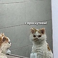 Нажмите на изображение для увеличения
Название: IMG_20240715_214215_370.jpg
Просмотров: 558
Размер:	94.6 Кб
ID:	3730302