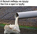 Нажмите на изображение для увеличения
Название: IMG_20240804_160358_872.jpg
Просмотров: 376
Размер:	177.6 Кб
ID:	3737446