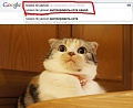 Нажмите на изображение для увеличения
Название: 1359695747_doseng.org_03.jpg
Просмотров: 611
Размер:	52.6 Кб
ID:	377799