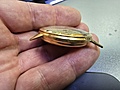 Нажмите на изображение для увеличения
Название: 20241127_122549.jpg
Просмотров: 82
Размер:	389.9 Кб
ID:	3782195