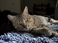 Нажмите на изображение для увеличения
Название: P1010056_1280.jpg
Просмотров: 129
Размер:	521.4 Кб
ID:	380897
