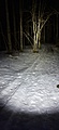 Нажмите на изображение для увеличения
Название: 20250312_195424.jpg
Просмотров: 72
Размер:	231.7 Кб
ID:	3824680