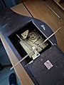 Нажмите на изображение для увеличения
Название: IMG_20250129_132535003.jpg
Просмотров: 59
Размер:	379.3 Кб
ID:	3833542