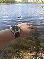 Нажмите на изображение для увеличения
Название: 20250422_153335.jpg
Просмотров: 122
Размер:	296.9 Кб
ID:	3841215