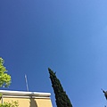 Нажмите на изображение для увеличения
Название: IMG_0696.jpeg
Просмотров: 41
Размер:	125.7 Кб
ID:	3844179