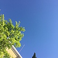 Нажмите на изображение для увеличения
Название: IMG_0699.jpeg
Просмотров: 53
Размер:	231.6 Кб
ID:	3844461