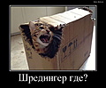 Нажмите на изображение для увеличения
Название: scale_1200 (12).jpg
Просмотров: 361
Размер:	47.2 Кб
ID:	3853729