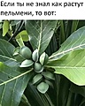 Нажмите на изображение для увеличения
Название: scale_1200 (12).jpg
Просмотров: 374
Размер:	115.0 Кб
ID:	3854538