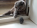 Нажмите на изображение для увеличения
Название: IMG_20250704_202818.jpg
Просмотров: 40
Размер:	278.3 Кб
ID:	3864204