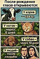 Нажмите на изображение для увеличения
Название: 20221955.jpg
Просмотров: 264
Размер:	165.7 Кб
ID:	3867451