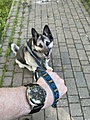 Нажмите на изображение для увеличения
Название: IMG_5158.jpg
Просмотров: 77
Размер:	364.7 Кб
ID:	3875456