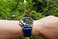 Нажмите на изображение для увеличения
Название: P10805550002.JPG
Просмотров: 41
Размер:	987.1 Кб
ID:	3878531