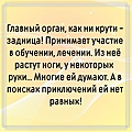 Нажмите на изображение для увеличения
Название: scale_1200 (2).jpg
Просмотров: 279
Размер:	361.3 Кб
ID:	3894843