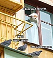 Нажмите на изображение для увеличения
Название: af6sjx74.jpg
Просмотров: 285
Размер:	139.8 Кб
ID:	3896002