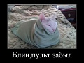 Нажмите на изображение для увеличения
Название: 99999.jpg
Просмотров: 528
Размер:	113.9 Кб
ID:	410326