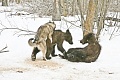 Нажмите на изображение для увеличения
Название: 17256_600.jpg
Просмотров: 584
Размер:	60.9 Кб
ID:	419601