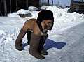 Нажмите на изображение для увеличения
Название: getImage.jpg
Просмотров: 1128
Размер:	59.8 Кб
ID:	421729