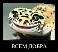 Нажмите на изображение для увеличения
Название: щзх.jpg
Просмотров: 267
Размер:	151.8 Кб
ID:	421770