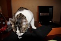 Нажмите на изображение для увеличения
Название: IMG_9218s.jpg
Просмотров: 515
Размер:	142.8 Кб
ID:	424832