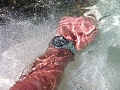 Нажмите на изображение для увеличения
Название: IMG_3941.jpg
Просмотров: 435
Размер:	633.8 Кб
ID:	425207