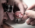 Нажмите на изображение для увеличения
Название: 005917-005_772.jpg
Просмотров: 5873
Размер:	84.5 Кб
ID:	441361
