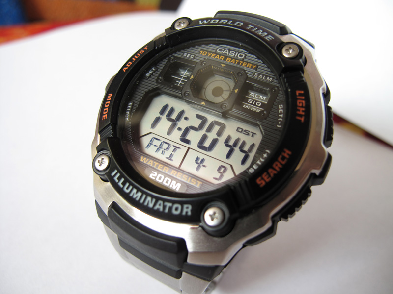 casio module 3199