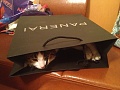 Нажмите на изображение для увеличения
Название: IMG_8438.jpg
Просмотров: 865
Размер:	437.3 Кб
ID:	451020