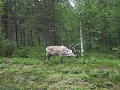 Нажмите на изображение для увеличения
Название: 1.jpg
Просмотров: 173
Размер:	677.8 Кб
ID:	489957