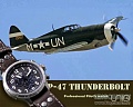 Нажмите на изображение для увеличения
Название: 5-uniq_p-47_thunderbolt_2.jpg
Просмотров: 911
Размер:	71.6 Кб
ID:	493363