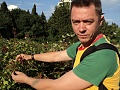 Нажмите на изображение для увеличения
Название: DSC01896.jpg
Просмотров: 120
Размер:	510.2 Кб
ID:	499827