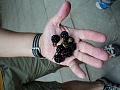 Нажмите на изображение для увеличения
Название: DSC02131.jpg
Просмотров: 84
Размер:	299.8 Кб
ID:	499832