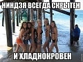 Нажмите на изображение для увеличения
Название: id.jpg
Просмотров: 491
Размер:	93.8 Кб
ID:	513692