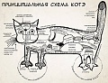 Нажмите на изображение для увеличения
Название: 1069813_280161745458316_364929354_n.jpg
Просмотров: 495
Размер:	64.4 Кб
ID:	537194