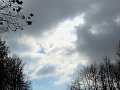 Нажмите на изображение для увеличения
Название: DSCN1147_01.JPG
Просмотров: 505
Размер:	757.0 Кб
ID:	543744