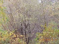 Нажмите на изображение для увеличения
Название: DSCN1166_01.JPG
Просмотров: 334
Размер:	737.0 Кб
ID:	548882