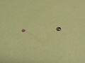 Нажмите на изображение для увеличения
Название: P1050921.jpg
Просмотров: 1073
Размер:	211.8 Кб
ID:	549482