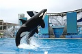 Нажмите на изображение для увеличения
Название: 008.jpg
Просмотров: 166
Размер:	76.9 Кб
ID:	552549
