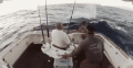 Нажмите на изображение для увеличения
Название: VL3cKvwS1.gif
Просмотров: 498
Размер:	2.22 Мб
ID:	552960