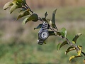 Нажмите на изображение для увеличения
Название: P1050811.jpg
Просмотров: 303
Размер:	241.3 Кб
ID:	555728