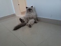 Нажмите на изображение для увеличения
Название: P071012_08.23_[01].jpg
Просмотров: 55
Размер:	91.9 Кб
ID:	582661