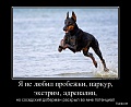Нажмите на изображение для увеличения
Название: dem-0012 (7).jpg
Просмотров: 478
Размер:	181.3 Кб
ID:	585291