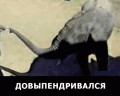 Нажмите на изображение для увеличения
Название: tmp_GpBxsIpa1-161256033.gif
Просмотров: 510
Размер:	6.53 Мб
ID:	591999