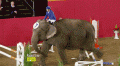 Нажмите на изображение для увеличения
Название: 1387856213_gifs_07.gif
Просмотров: 466
Размер:	2.17 Мб
ID:	595663