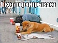 Нажмите на изображение для увеличения
Название: T7iaOiWj1.jpg
Просмотров: 539
Размер:	43.3 Кб
ID:	633430